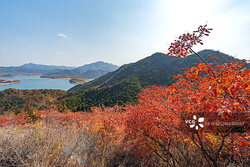北京的秋·金海湖图片素材