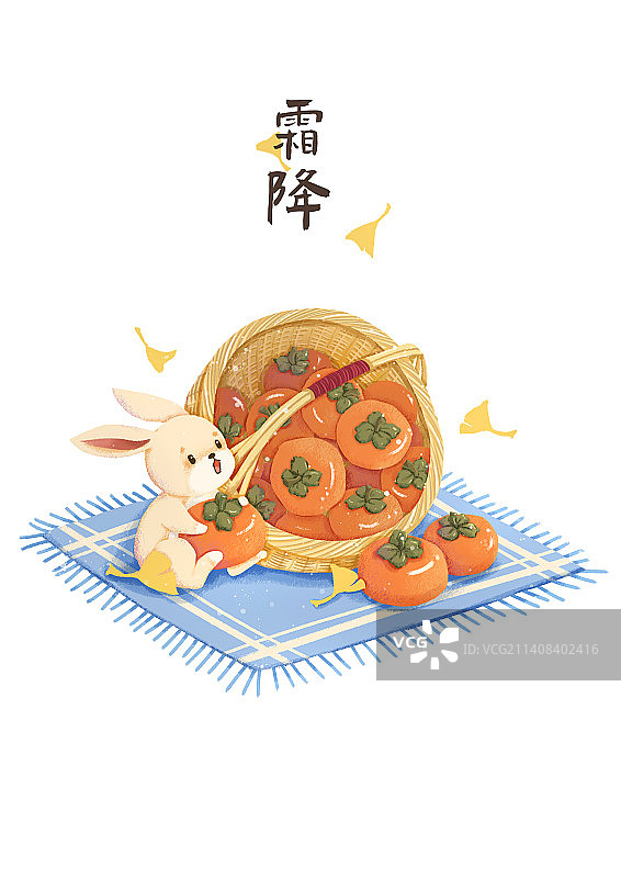 霜降吃柿子图片素材