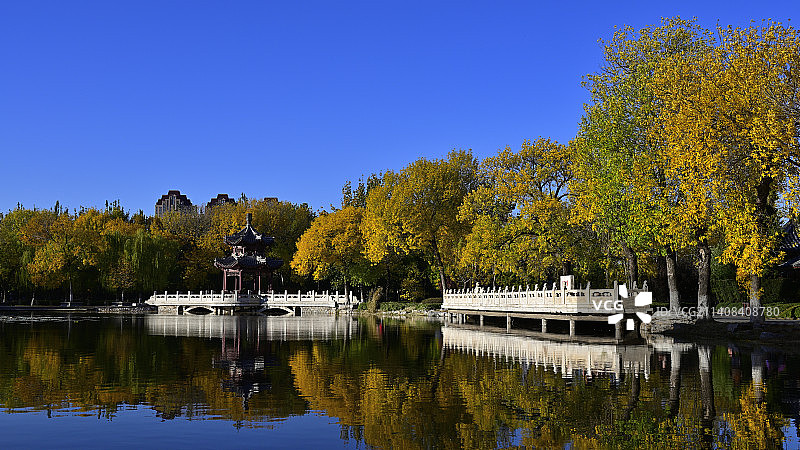 天津北宁公园怡人秋色风光图片素材