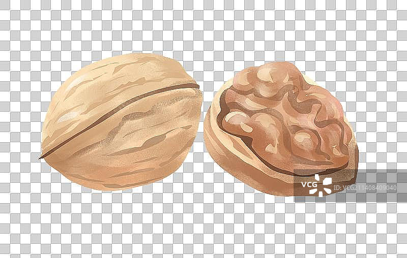 核桃插画元素图片素材