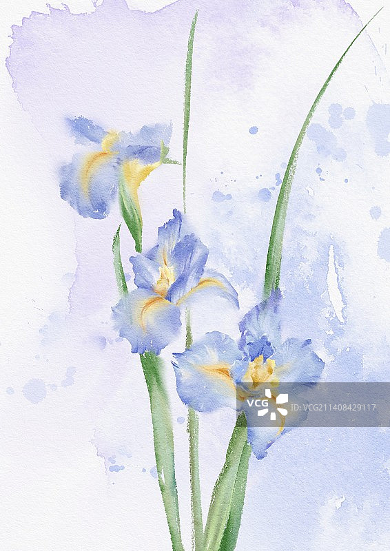 水彩花卉图片素材