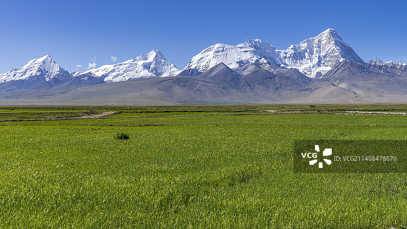西藏亚东帕里草原与卓姆拉日雪山图片素材