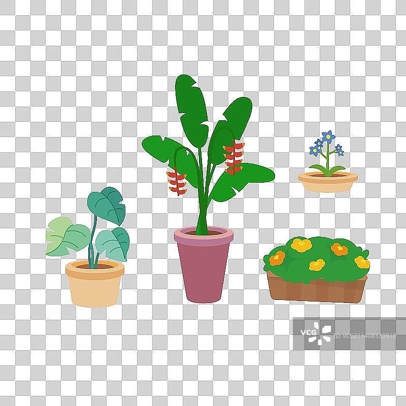 透明矢量盆栽图片素材