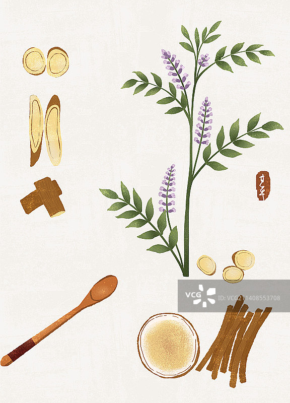 甘草插画图片素材