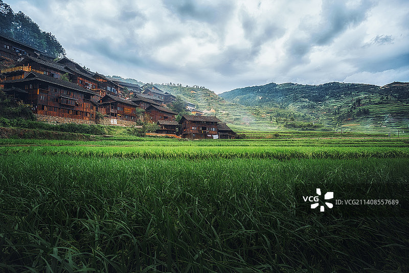 贵州西江千户苗寨梯田吊脚楼图片素材