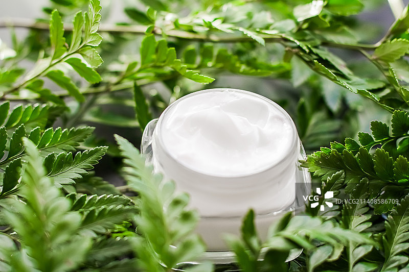 绿色花园中的面霜保湿罐，天然草本护肤品图片素材