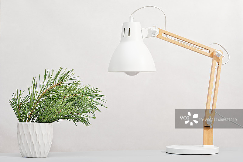 白色花盆中的松树枝与台灯：圣诞节简约办公室装饰图片素材