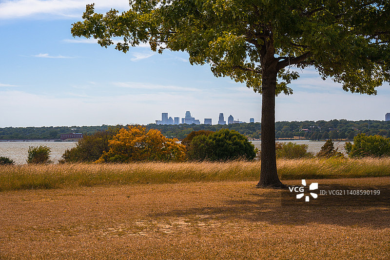 美国德克萨斯州达拉斯田野上的树木图片素材