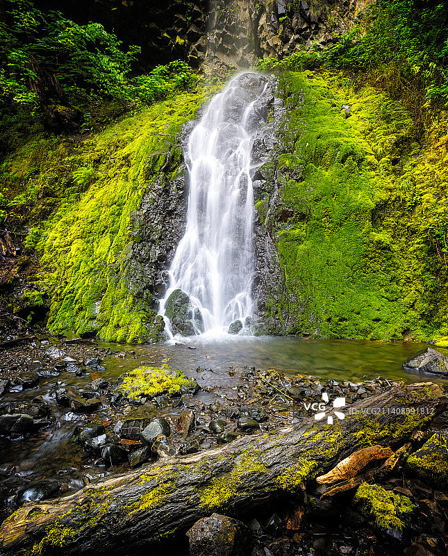美国饥饿溪州立公园的森林瀑布美景图片素材