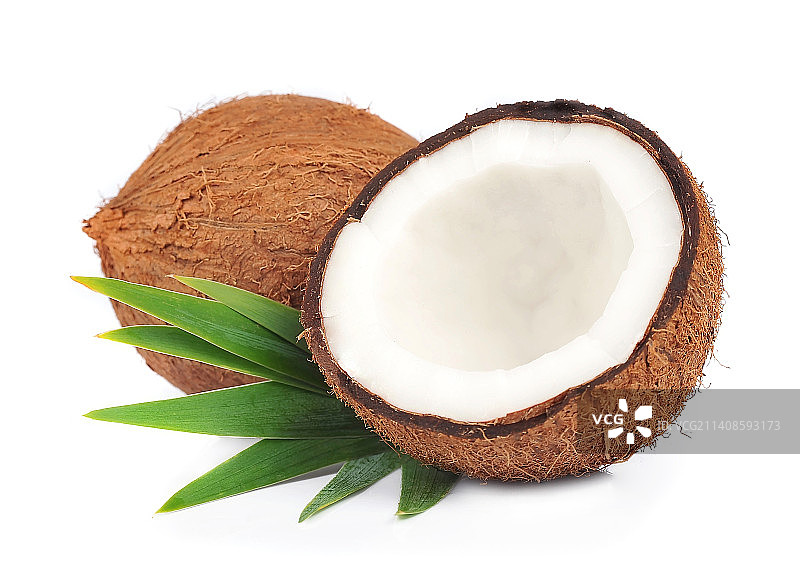 白色背景下的椰子高角度视图图片素材