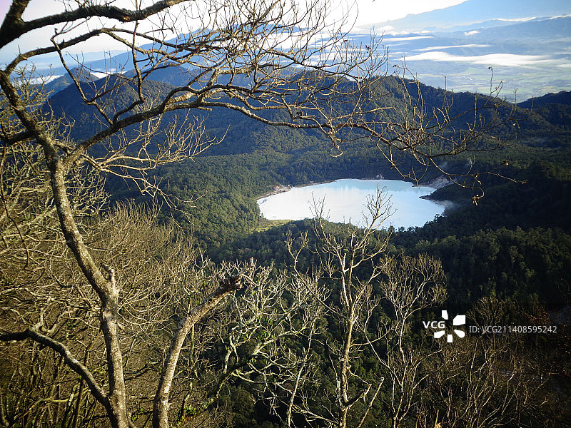 印度尼西亚加鲁特的树木美景图片素材