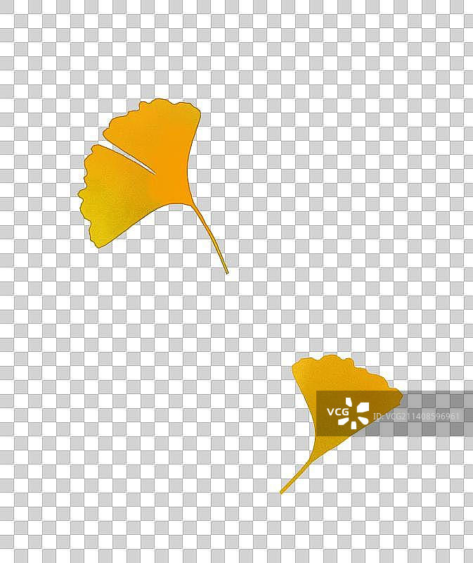 银杏叶子素材图片素材
