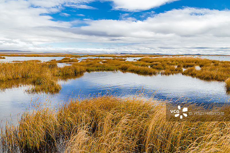 金色花湖图片素材