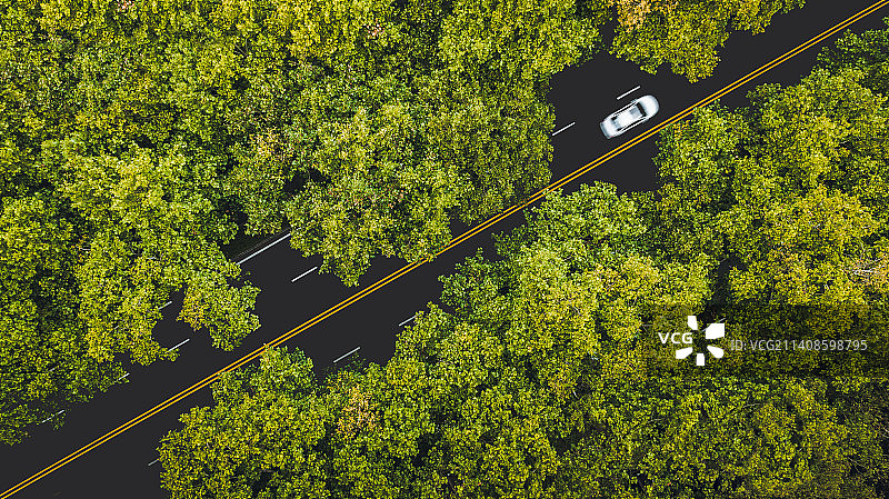 城市道路图片素材