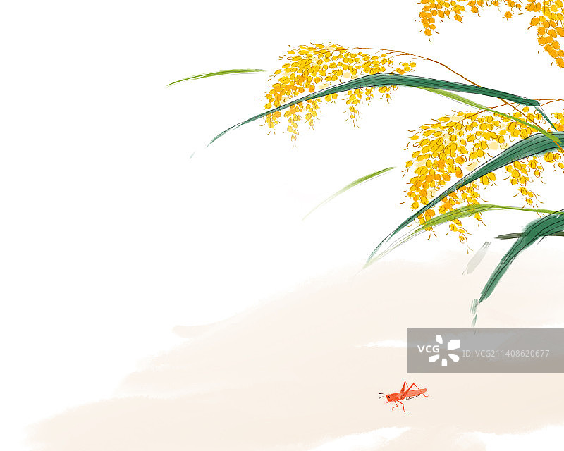 植物花鸟背景设计元素图片素材