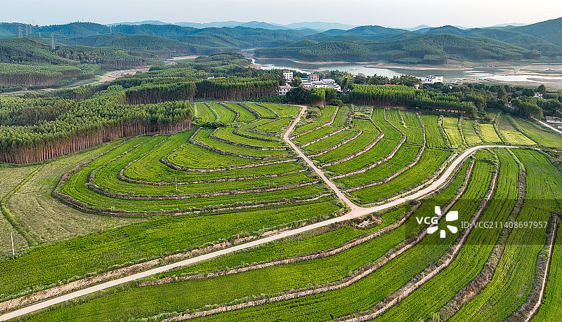 南宁市大王滩水库（江南区派江）图片素材