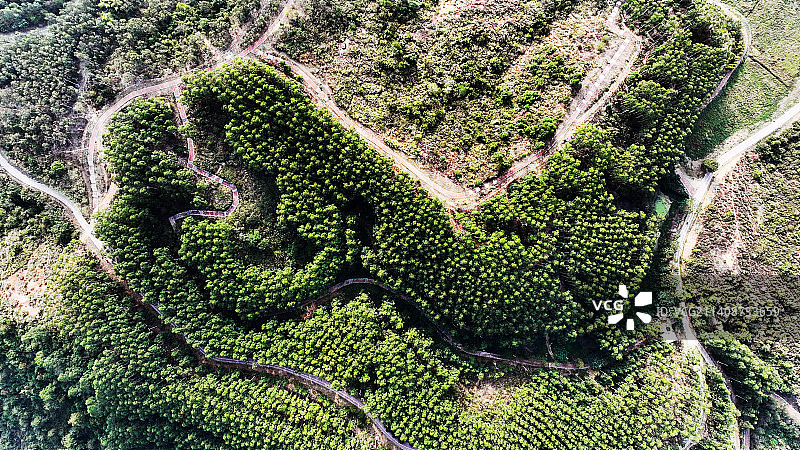广西南宁邕宁区龙岗灵龟山公园图片素材