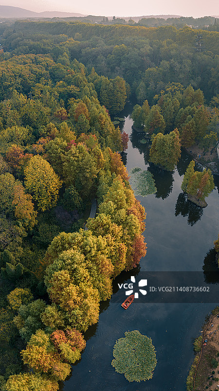 南京明孝陵梅花谷秋色图片素材