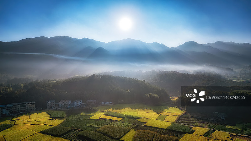 清晨稻田图片素材