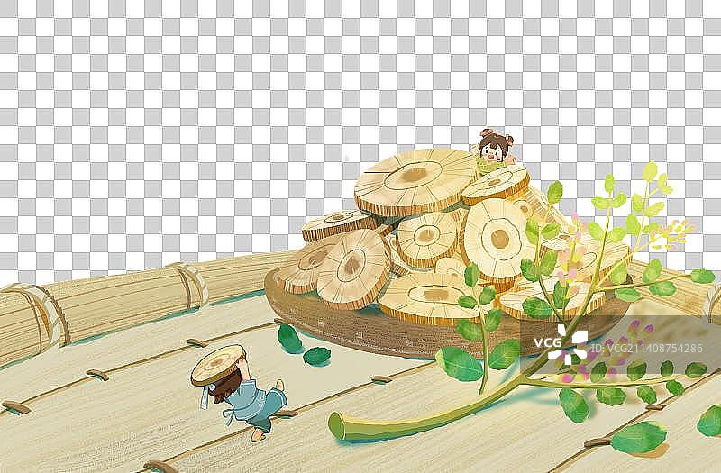 甘草元素插画图片素材