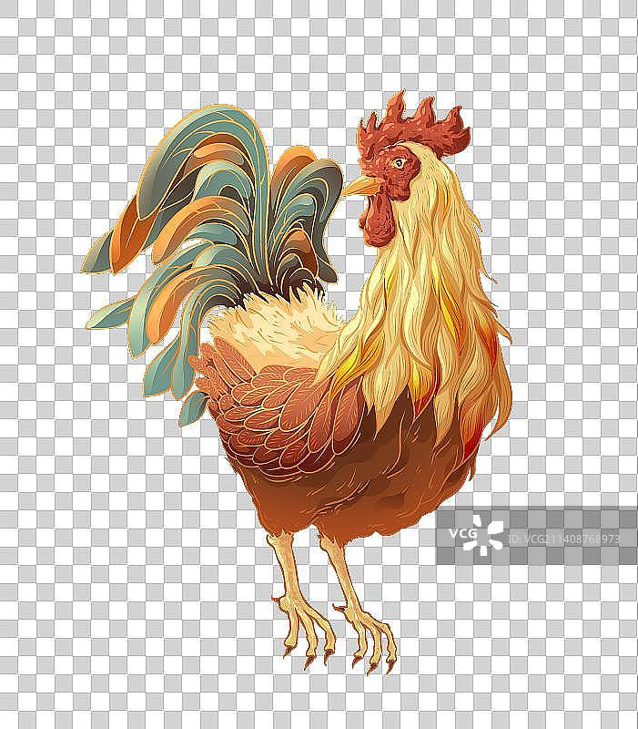 公鸡插画图片素材