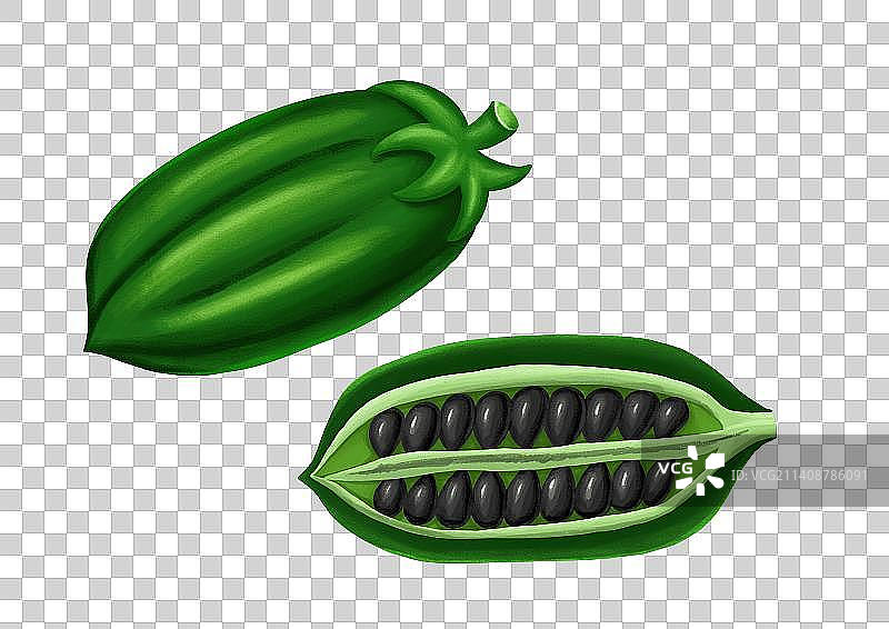 黑芝麻插画图片素材