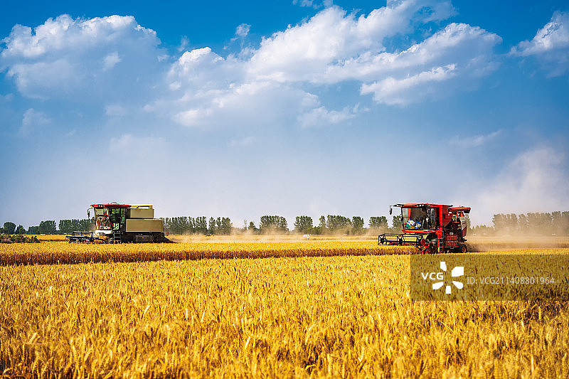 亚洲中国河南省郑州市联合收割机收割麦田场景图片素材