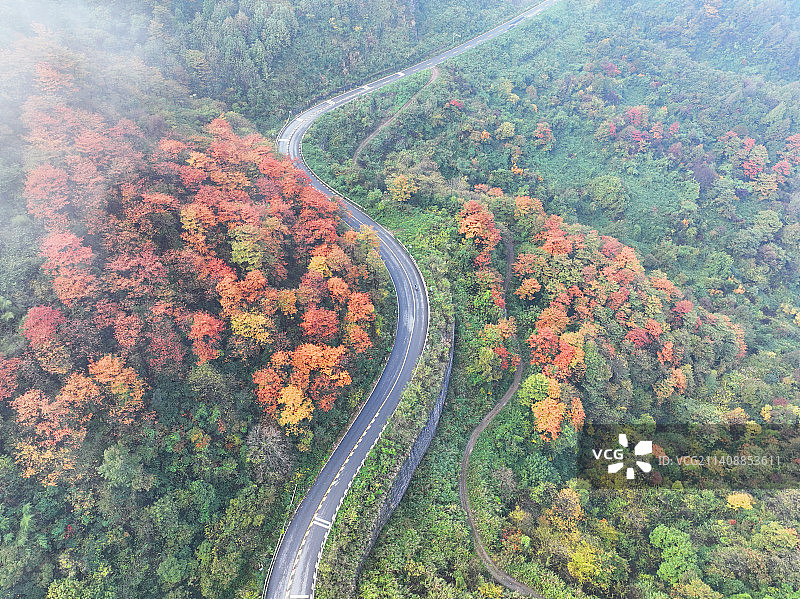 秋天的山路  层林尽染的秋天图片素材
