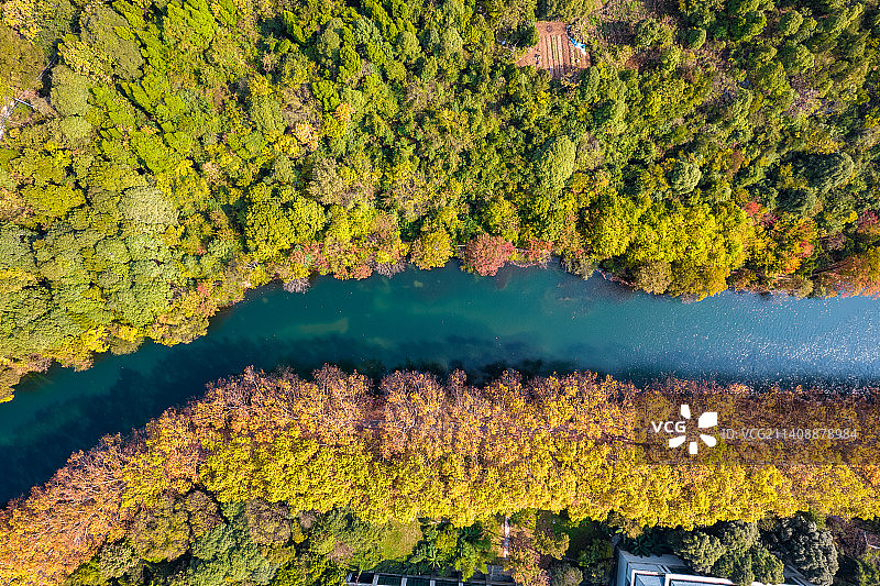 贵阳市花溪黄金大道图片素材