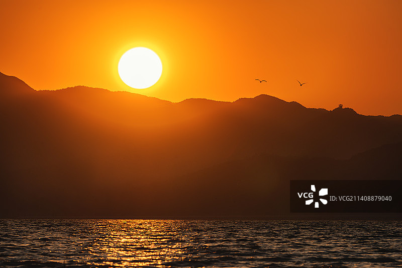 倦鸟暮归林图片素材