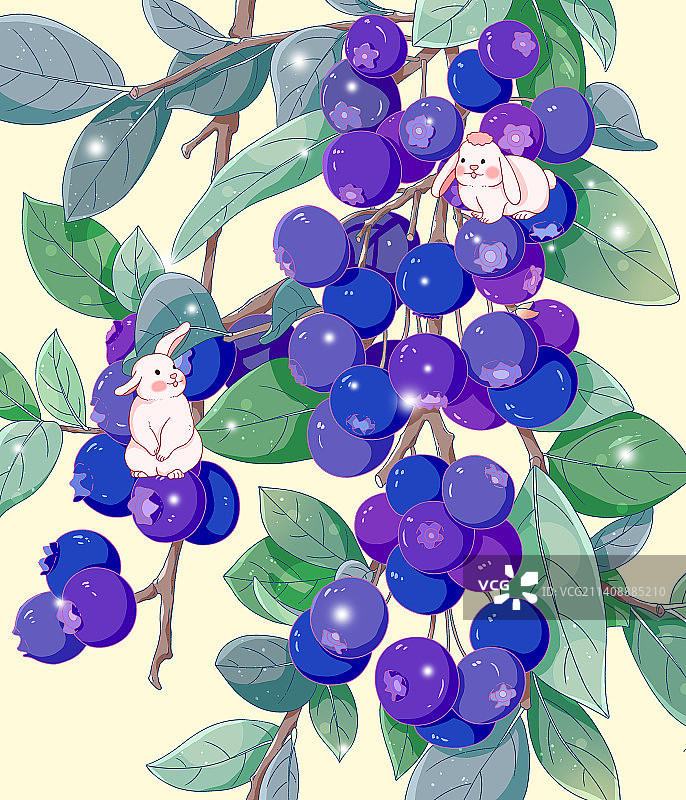 蓝莓成熟了图片素材