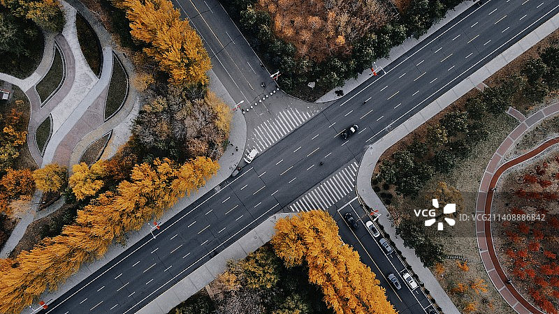 秋日马路图片素材