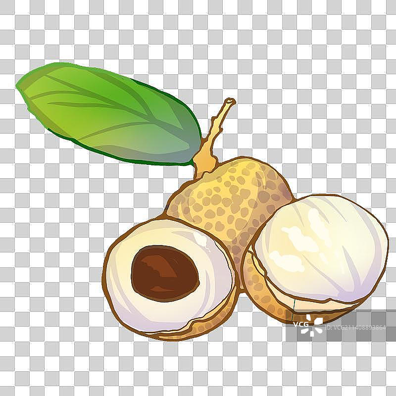 龙眼设计元素免抠素材图png格式图片素材