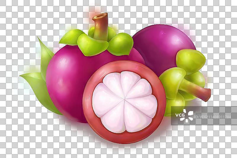 山竹插画设计图片素材