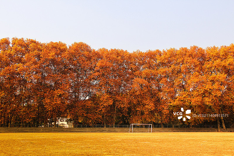 秋日操场图片素材