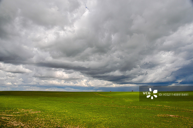 棉絮般的云朵遮盖着辽阔的锡林郭勒大草原图片素材