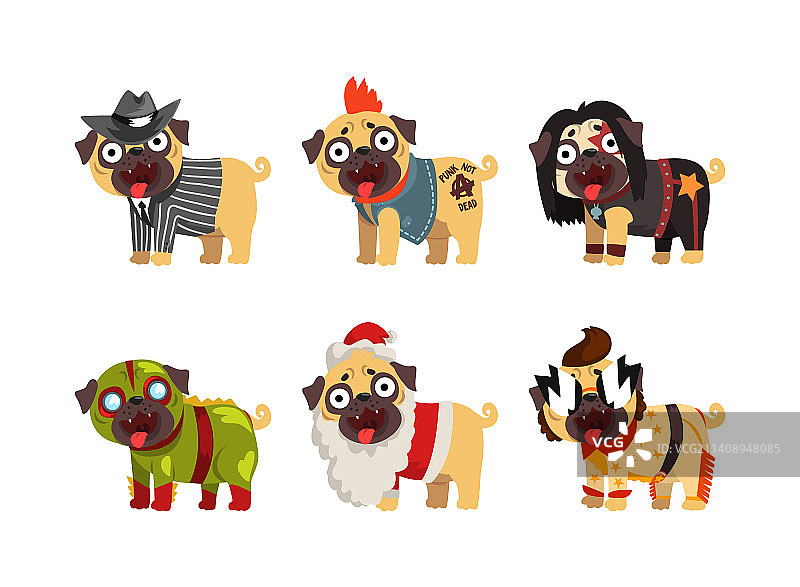 穿着彩色服装的滑稽巴哥犬套装图片素材