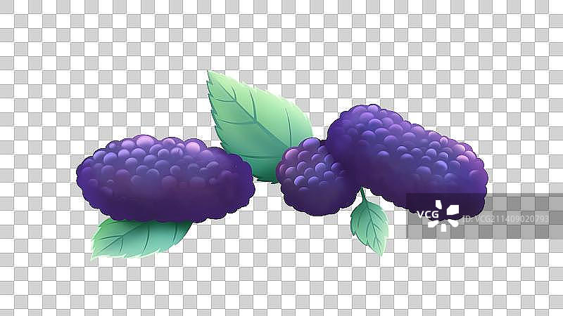 桑葚——唯美卡通手绘食物系列插画素材图片素材