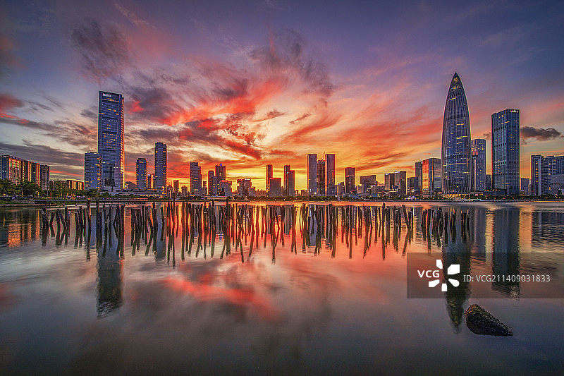 深圳后海人才公园城市风光晚霞图片素材