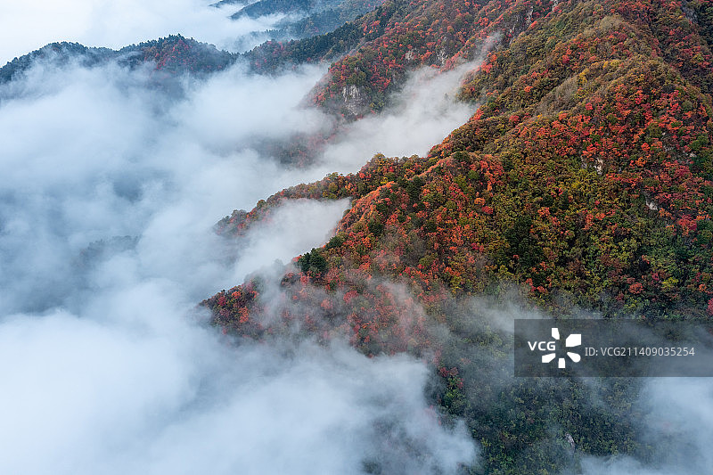 西安翠华山景区秋景云海航拍图片素材