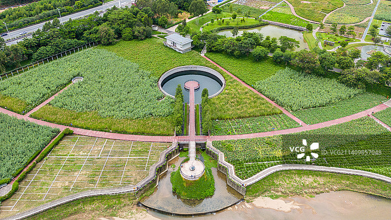深圳龙华观澜河湿地公园图片素材