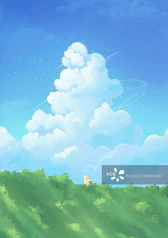 蓝天映衬下的田野景色治愈田园猫仰望天空图片素材