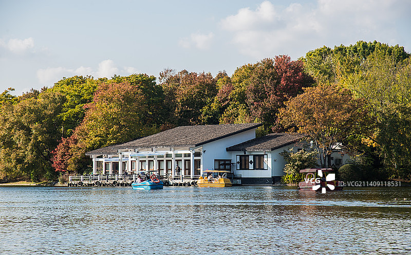 共青森林公园〔秋色〕图片素材