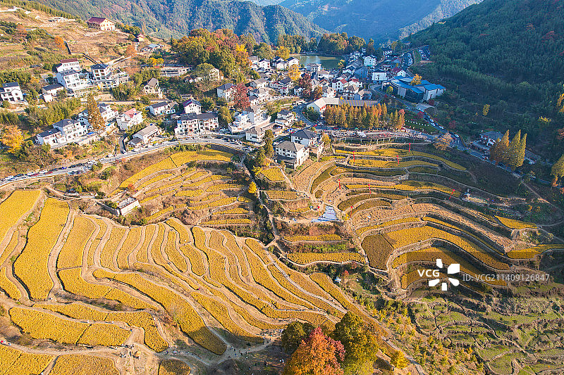 临安指南村秋色美景，美丽乡村共同富裕示范村图片素材
