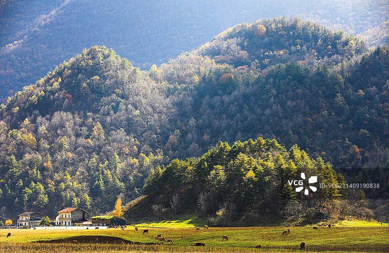 红池坝秋景图片素材