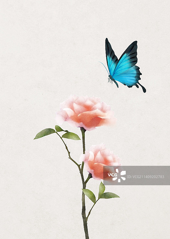 蝴蝶和花插画图片素材