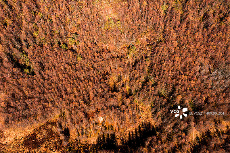 开州雪宝山金秋图片素材