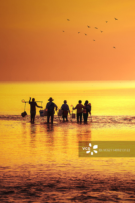 迎着朝霞的赶海人图片素材
