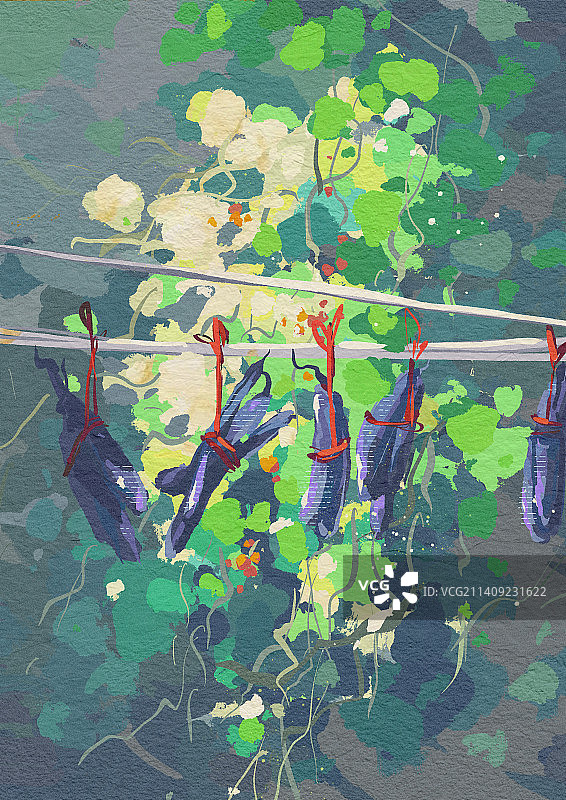 充满阳光的农村小院插画图片素材