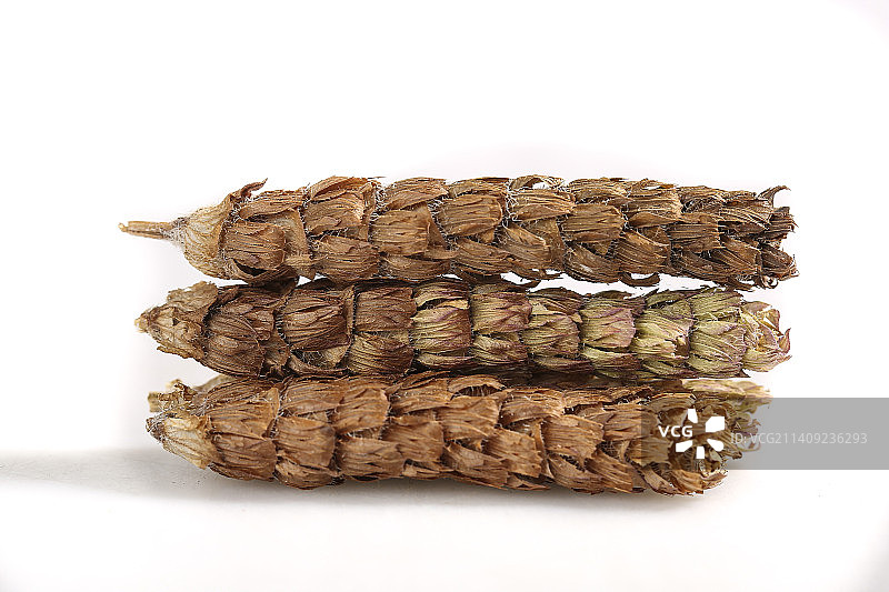 白底上放着夏枯草图片素材